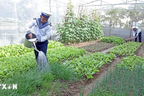 Chiến sỹ Vùng 5 vững chắc bảo vệ chủ quyền, tích cực tăng gia, sản xuất