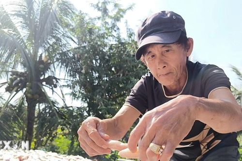 Vĩnh Long: Làng nghề cá khô ven biển nhộn nhịp sản xuất mùa Tết