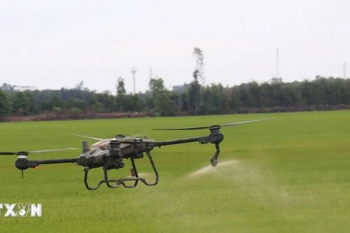 Ban hành quy định mới về điều kiện sản xuất, buôn bán thuốc bảo vệ thực vật