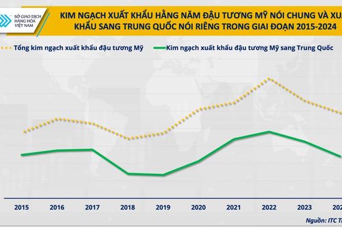 Khi dòng chảy đậu tương đổi hướng, cơ hội nào cho doanh nghiệp chăn nuôi Việt Nam?