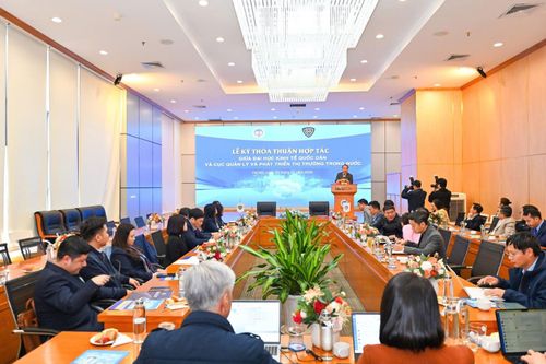 Đẩy mạnh hợp tác đào tạo, nghiên cứu thị trường trong nước và quản lý thị trường