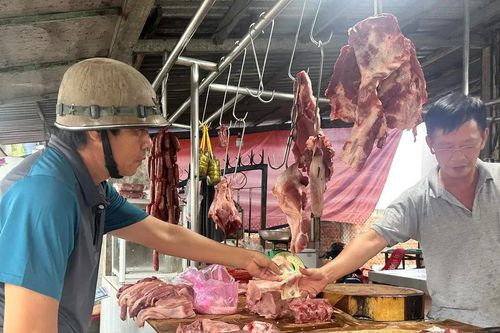 Giá heo hơi tăng cao, nông dân kỳ vọng ăn Tết lớn