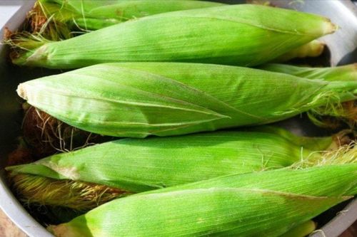 Những bộ phận của bắp ngô cực kỳ tốt cho sức khỏe lại bị vứt đi không thương tiếc