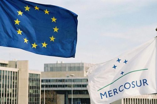 Thỏa thuận EU - Mercosur 'đóng băng' vào phút chót tại Nghị viện châu Âu