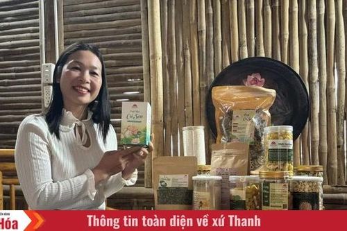 Khi cây sen tỏa hương trên đất xứ Thanh