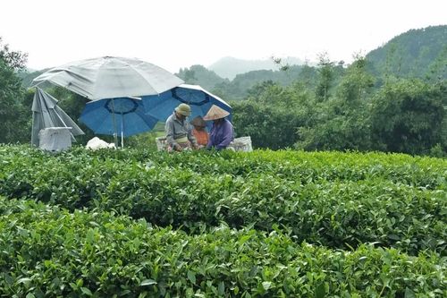 Hỗ trợ hộ nghèo tiếp cận thông tin để không bỏ lọt chính sách
