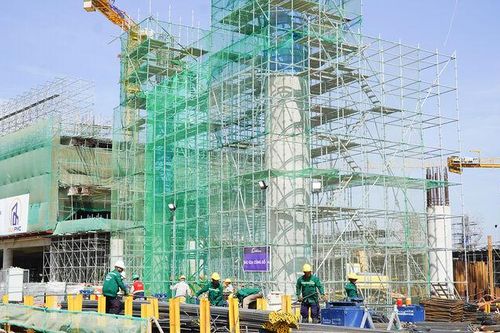 Đưa nghị quyết vào cuộc sống