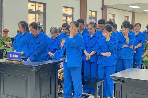 Gia đình cùng vướng vòng lao lý