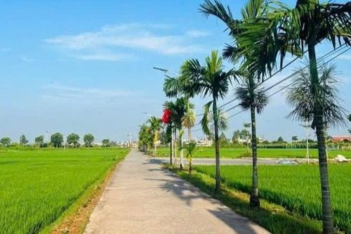 Lạng Giang: Xây dựng môi trường sáng - xanh - sạch