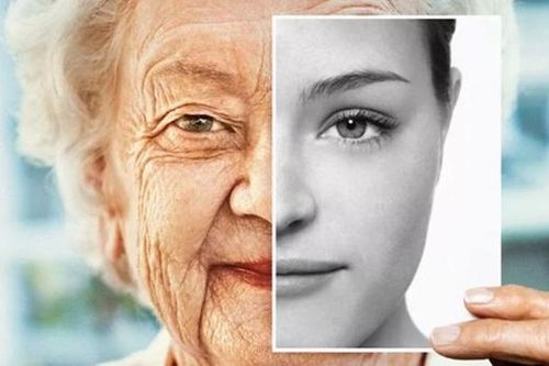 Cách thức giúp đảo chiều quá trình lão hóa