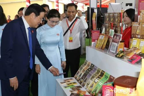Phát triển bền vững thủ phủ điều Việt Nam