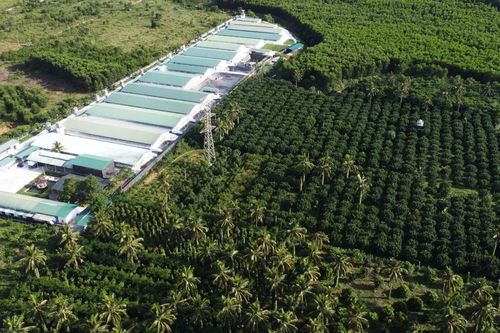 Kỳ vọng phát triển nông nghiệp bền vững, nâng cao thu nhập cho người dân