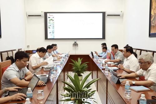 Góp ý Đề án Thành lập Trung tâm Công nghiệp, Dịch vụ năng lượng tái tạo Khánh Hòa