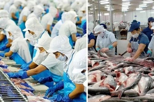 Danh mục động vật, sản phẩm động vật thủy sản thuộc diện phải kiểm dịch, miễn kiểm dịch
