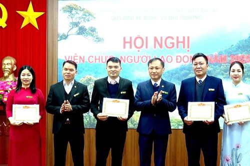 Năm 2025, trên 282 tỷ đồng được chi trả dịch vụ môi trường rừng