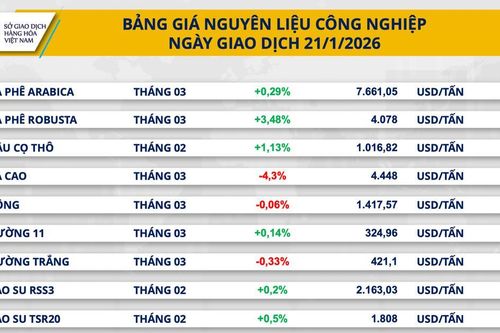 Giá cà phê Robusta tăng mạnh lên 4.078 USD/tấn, đồng COMEX lùi về mốc 12.716 USD/tấn