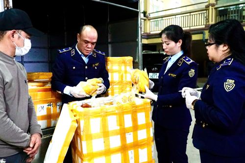 Thái Nguyên: Phát hiện, tiêu hủy hàng trăm túi chân gà rút xương không rõ xuất xứ
