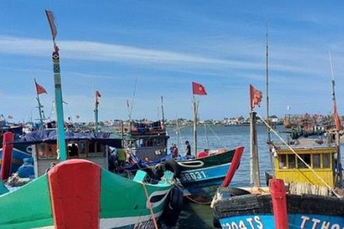 Đồng Tháp: Hỗ trợ ngư dân chuyển đổi nghề