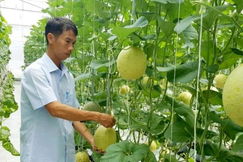 'Tấm vé thông hành' giúp nông sản Huế chinh phục thị trường
