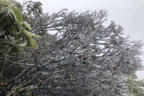 Nhiệt độ xuống 0,3°C, băng giá xuất hiện trên đỉnh Mẫu Sơn
