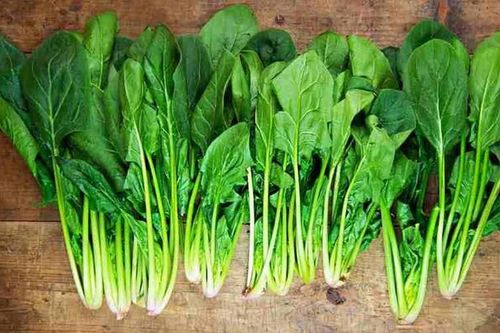 5 loại rau mùa đông giàu chất xơ tốt cho tiêu hóa
