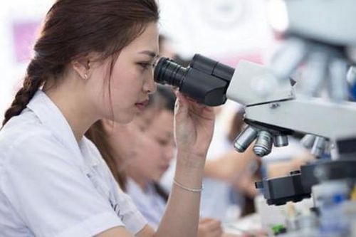 Đại học Y Hà Nội lọt top bảng xếp hạng thế giới THE 2026 theo lĩnh vực