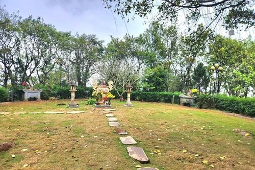 Diện mạo mới tại 'huyệt đạo thiêng' trên đỉnh Ngàn Nưa