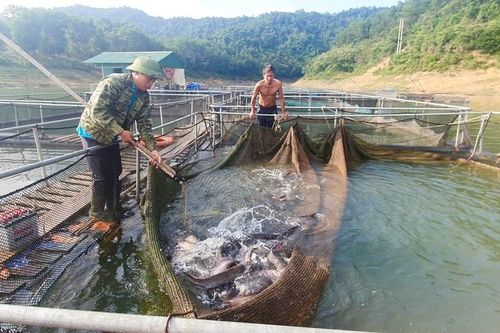Hà Tĩnh cần đánh thức 'mỏ vàng' dưới lòng hồ