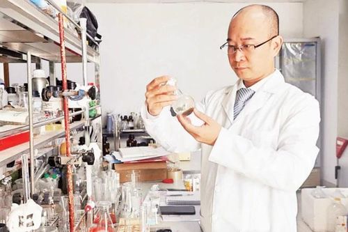 Nuôi cấy đông trùng hạ thảo trên côn trùng