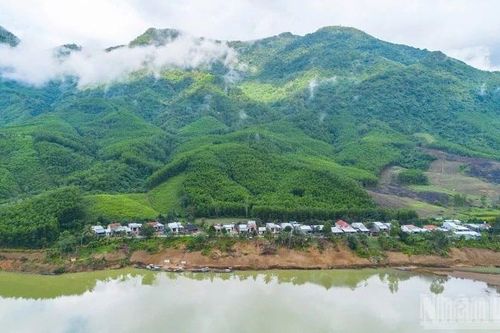 Thúc đẩy thực hiện quản lý rừng bền vững và đa dạng sinh học