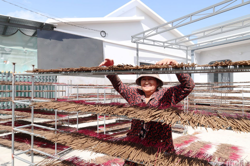 Giữ gìn sắc thắm nhang quê