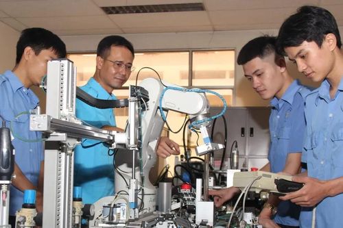Phấn đấu tỷ lệ lao động có trình độ cao đẳng, đại học đạt ít nhất 20% trở lên
