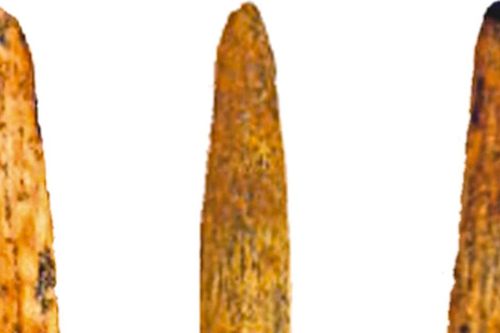 Vũ khí tinh xảo 80.000 năm tuổi của người Neanderthal