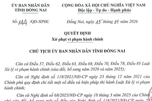 Xử phạt Công ty TNHH Huynh Đệ Thượng Hải 50 triệu đồng