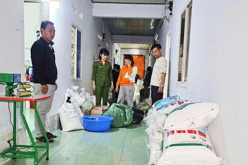Gia Lai: Người phụ nữ thuê phòng trọ sản xuất hàng trăm kg hạt nêm giả bán kiếm lời