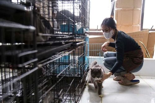 Nở rộ dịch vụ dịp Tết