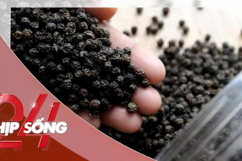 NHỊP SỐNG 24: Ba quốc gia chi tiền gom mua ồ ạt 'vàng đen' của Việt Nam