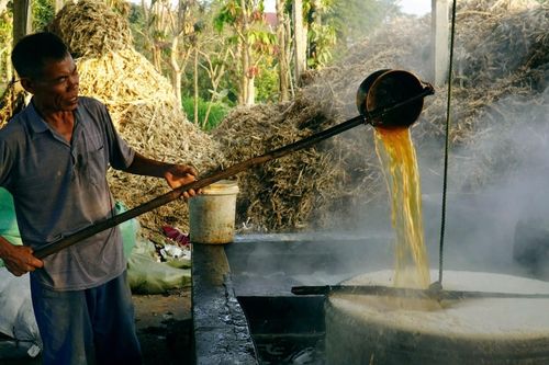 Giáp Tết, làng mật mía xứ Thanh 'đỏ lửa', thu trăm triệu mỗi lò