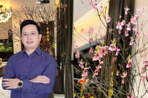 Vì sao lại chưng hoa đào ngày Tết?