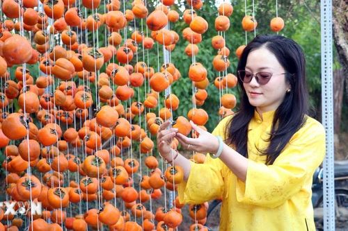 Khai mạc Chương trình Hoa mai anh đào chắp cánh thương hiệu Đà Lạt