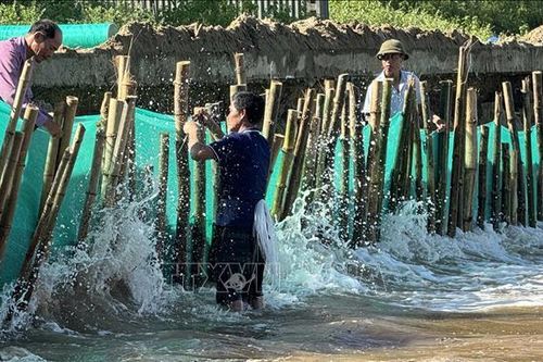 Thanh Hóa công bố tình huống khẩn cấp sạt lở kè biển xã Hoằng Thanh
