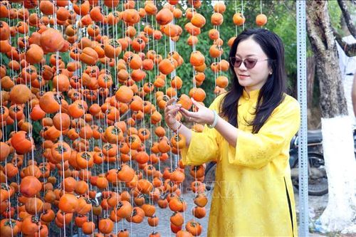 Khai mạc Chương trình Hoa mai anh đào chắp cánh thương hiệu Đà Lạt