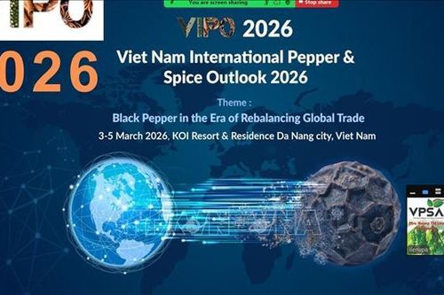 Việt Nam, Ấn Độ thúc đẩy hợp tác trong ngành thực phẩm và đồ uống