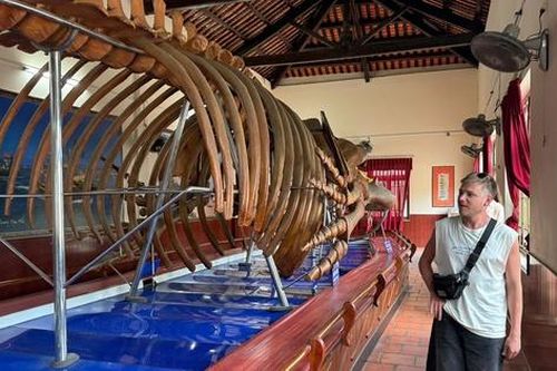 Choáng ngợp trước bộ xương cá voi 22m lớn nhất Đông Nam Á
