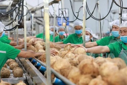 Siết chặt quản lý chất lượng hàng hóa khi xuất khẩu sang Ba Lan