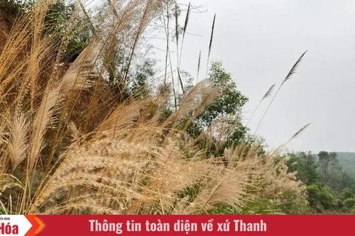 Lòng tin