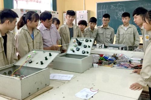 Sau sáp nhập, thành phố Hồ Chí Minh có 478 cơ sở giáo dục nghề nghiệp