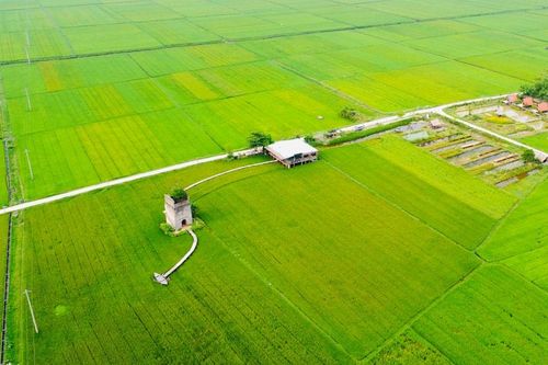 Trợ lực cho du lịch nông thôn