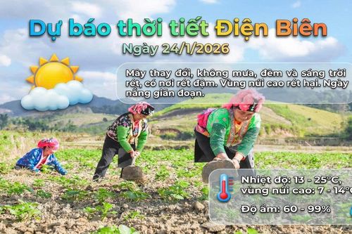 Bản tin Dự báo thời tiết ngày 24/1/2026
