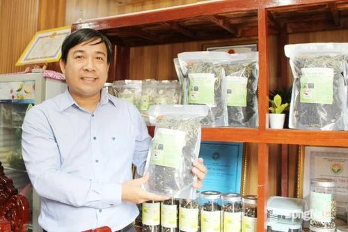 Người tâm huyết giữ hồn Trà Phú Hội